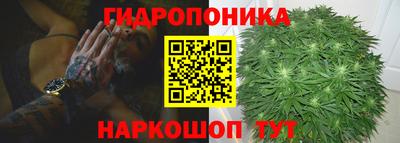 ГАЛЛЮЦИНОГЕННЫЕ ГРИБЫ Шебекино