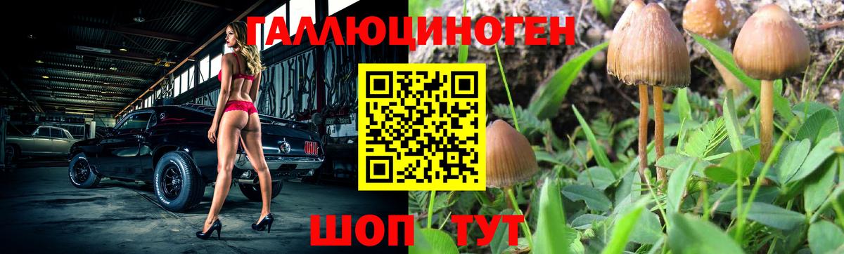 Галлюциногенные грибы мухоморы Ахтубинск