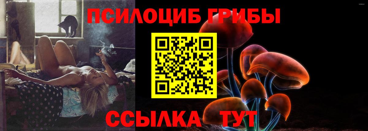 Ахтубинск  Псилоцибиновые грибы Magic Shrooms  Псилоцибиновые грибы MAGIC MUSHROOMS  Вход с VPN 